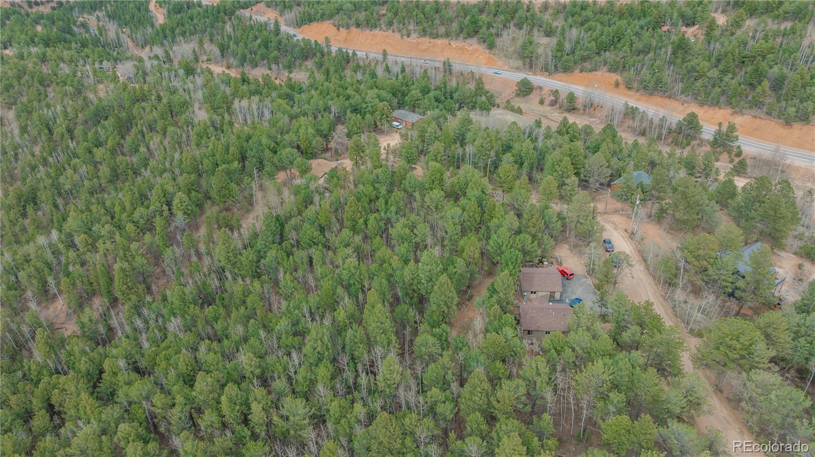 881 Timber Ridge Road Divide, CO 80814 - Photo 12 of 13 a view of a lush green forest with lots of trees