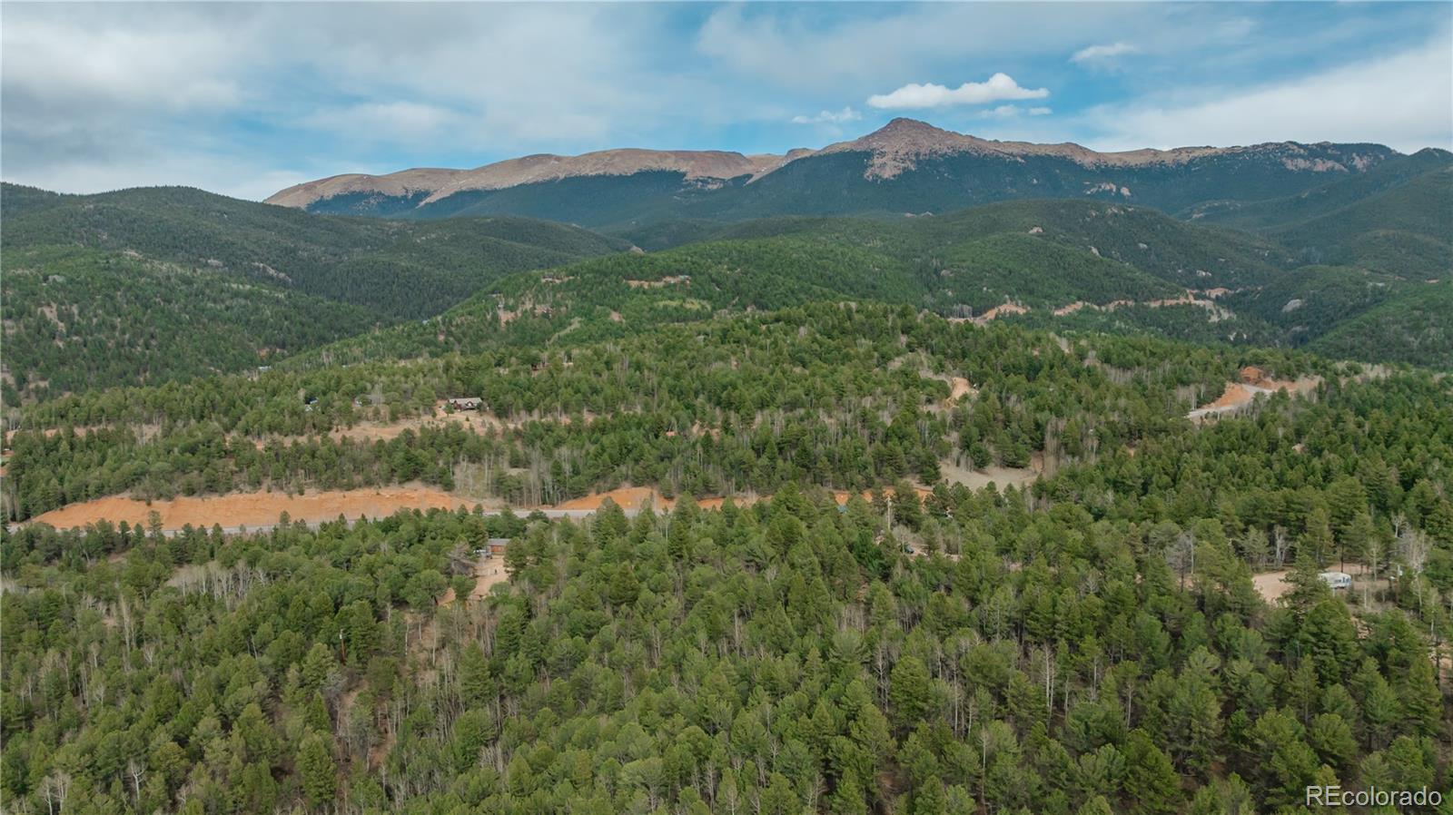 881 Timber Ridge Road Divide, CO 80814 - Photo 13 of 13 a view of a town with lush green forest