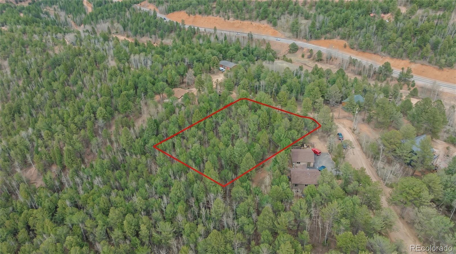 881 Timber Ridge Road Divide, CO 80814 - Photo 7 of 13