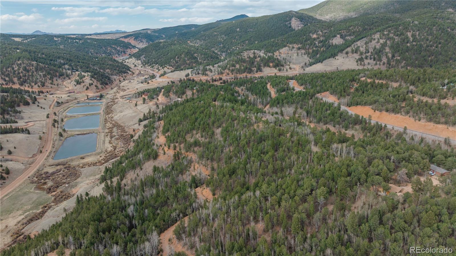 881 Timber Ridge Road Divide, CO 80814 - Photo 8 of 13 a view of a forest with mountains in the background