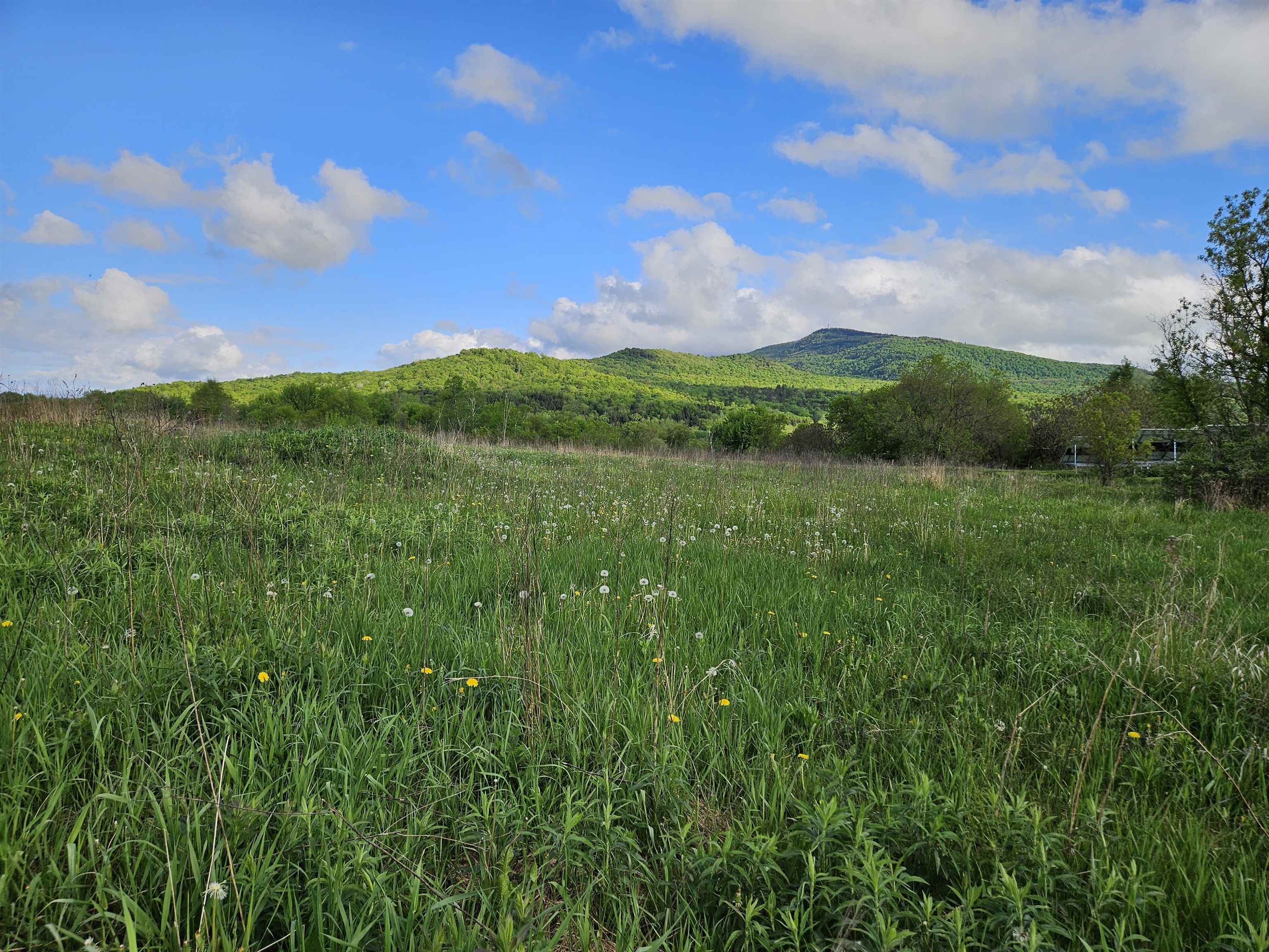 Tbd Lot #3 Tbd Road, Unit 3 Waterville, VT 05492 - Photo 4 of 10