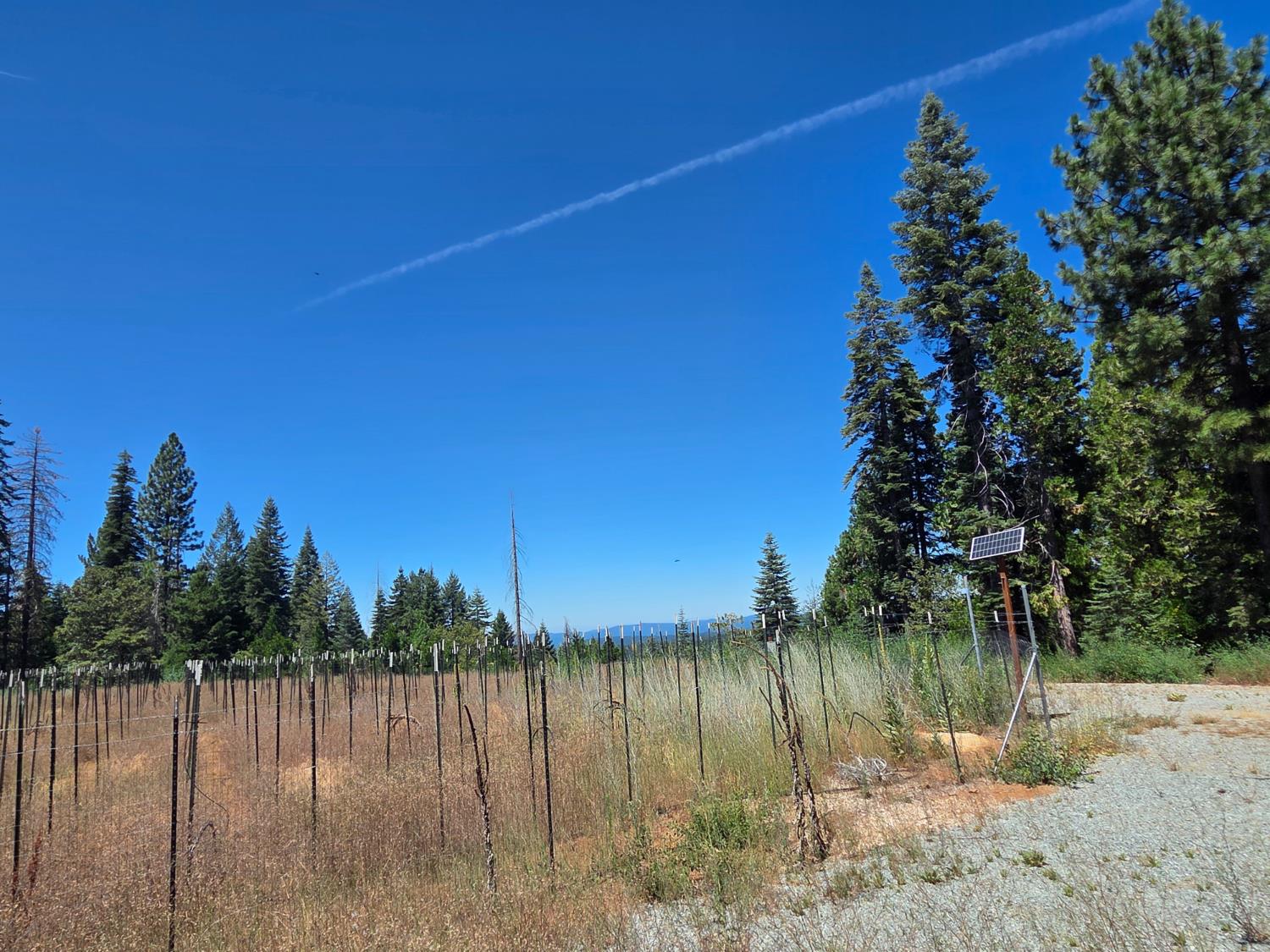23133 Back Bone Road Nevada City, CA 95959 - Photo 26 of 33 Gallery Image 26