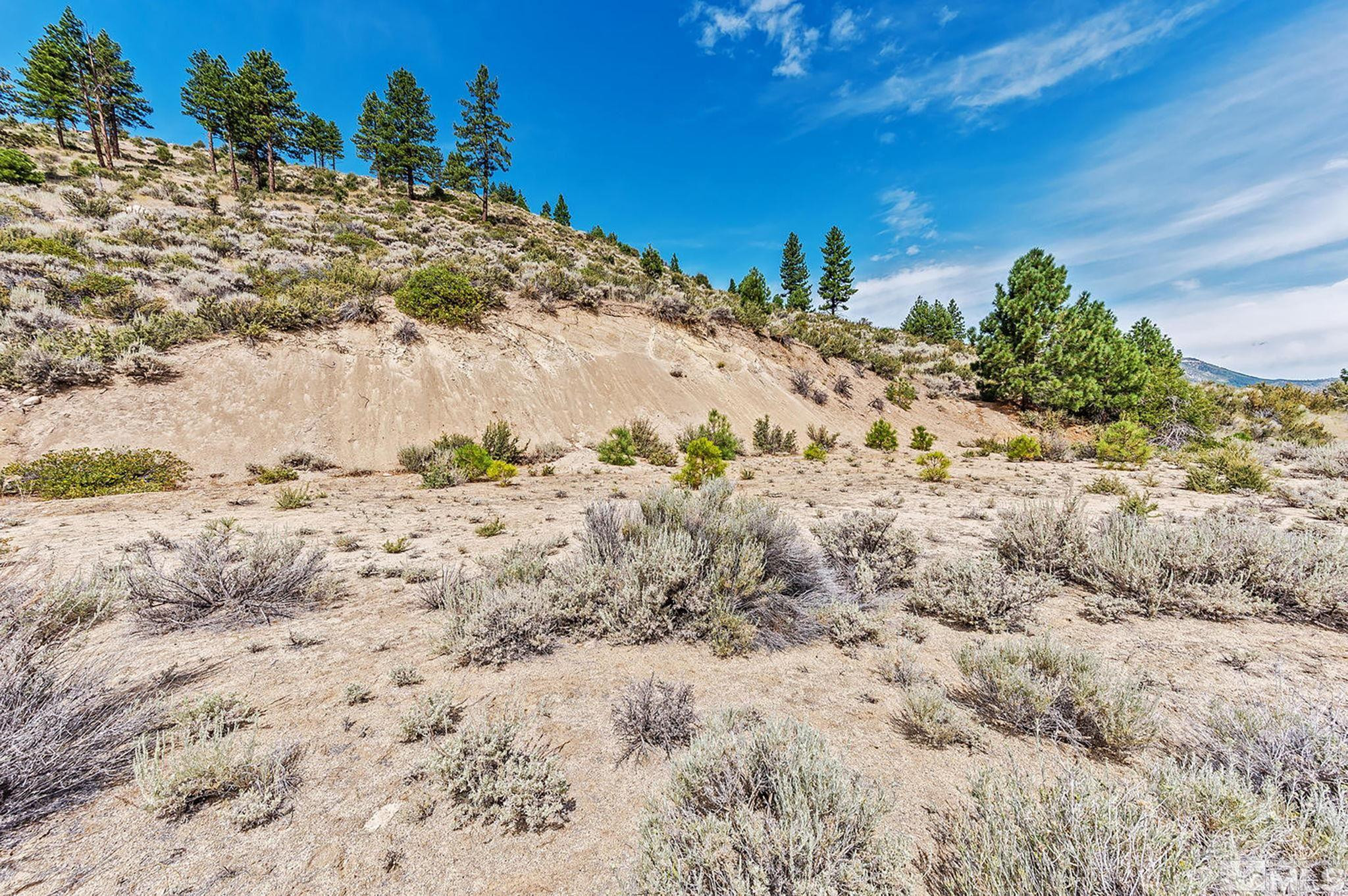 0 Bryan Canyon Road, Unit 4 Washoe Valley, NV 89704 - Photo 15 of 20 Photo 15