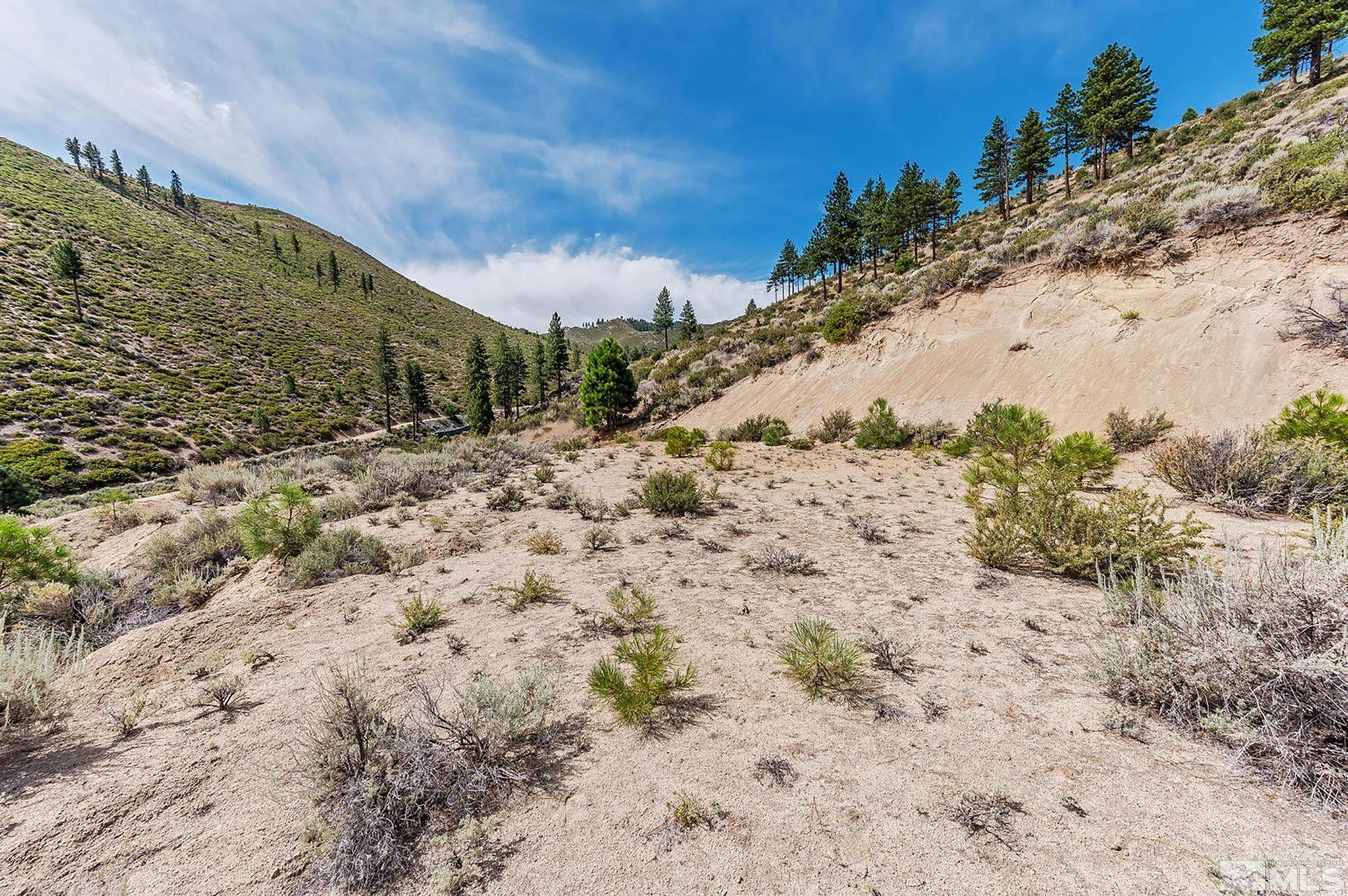 0 Bryan Canyon Road, Unit 4 Washoe Valley, NV 89704 - Photo 16 of 20 Photo 16