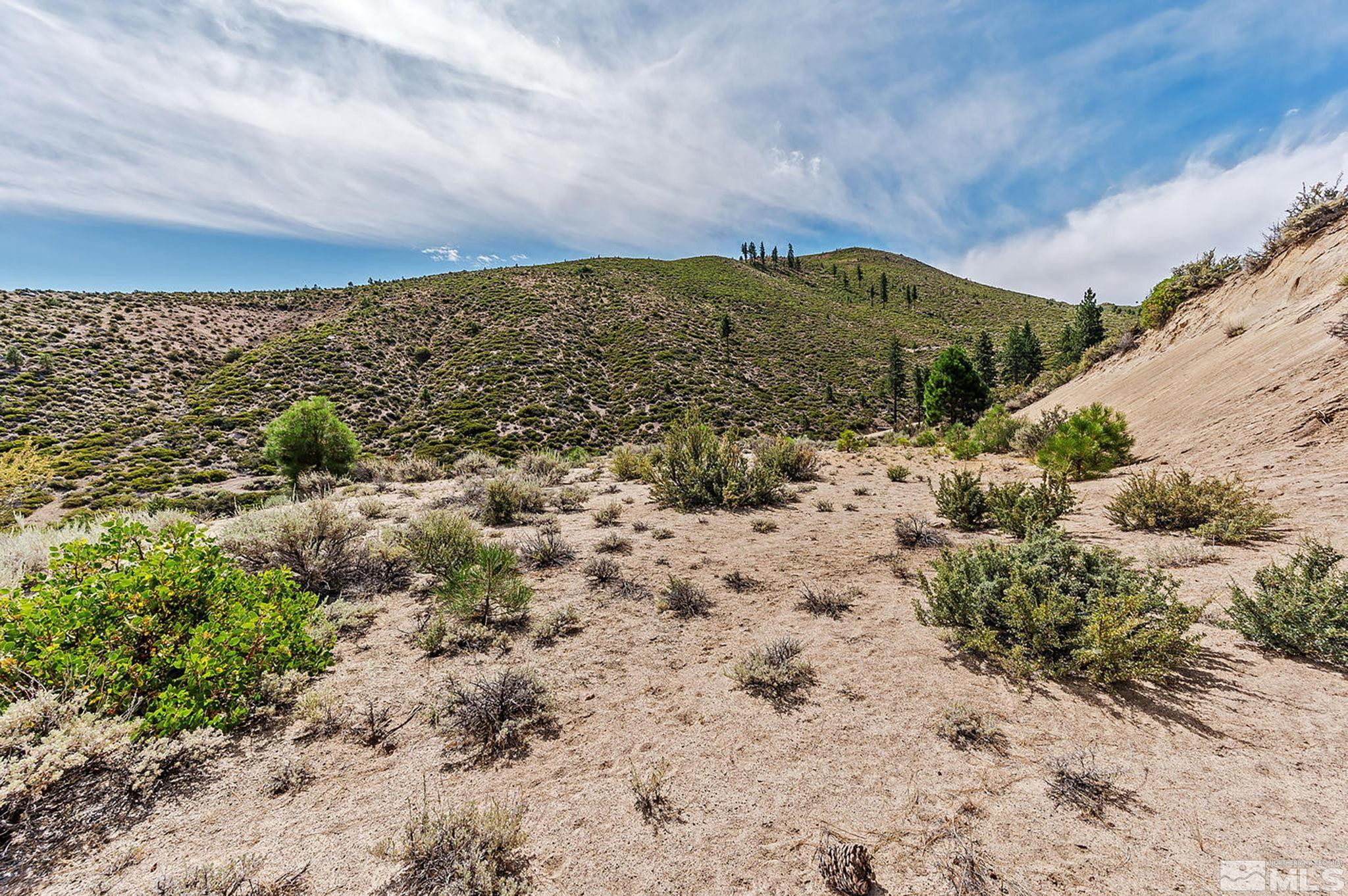 0 Bryan Canyon Road, Unit 4 Washoe Valley, NV 89704 - Photo 19 of 20 Photo 19