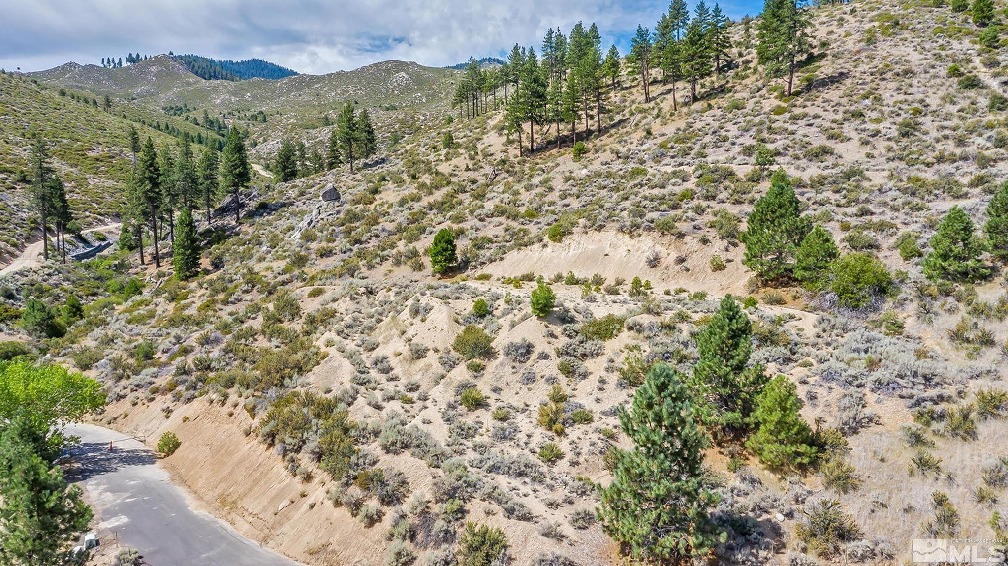 0 Bryan Canyon Road, Unit 4 Washoe Valley, NV 89704 - Photo 4 of 20 Photo 4