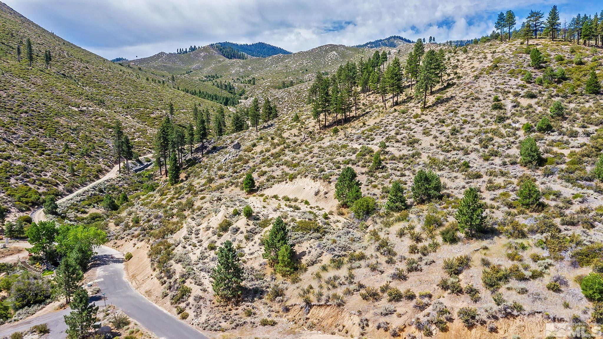 0 Bryan Canyon Road, Unit 4 Washoe Valley, NV 89704 - Photo 5 of 20 Photo 5