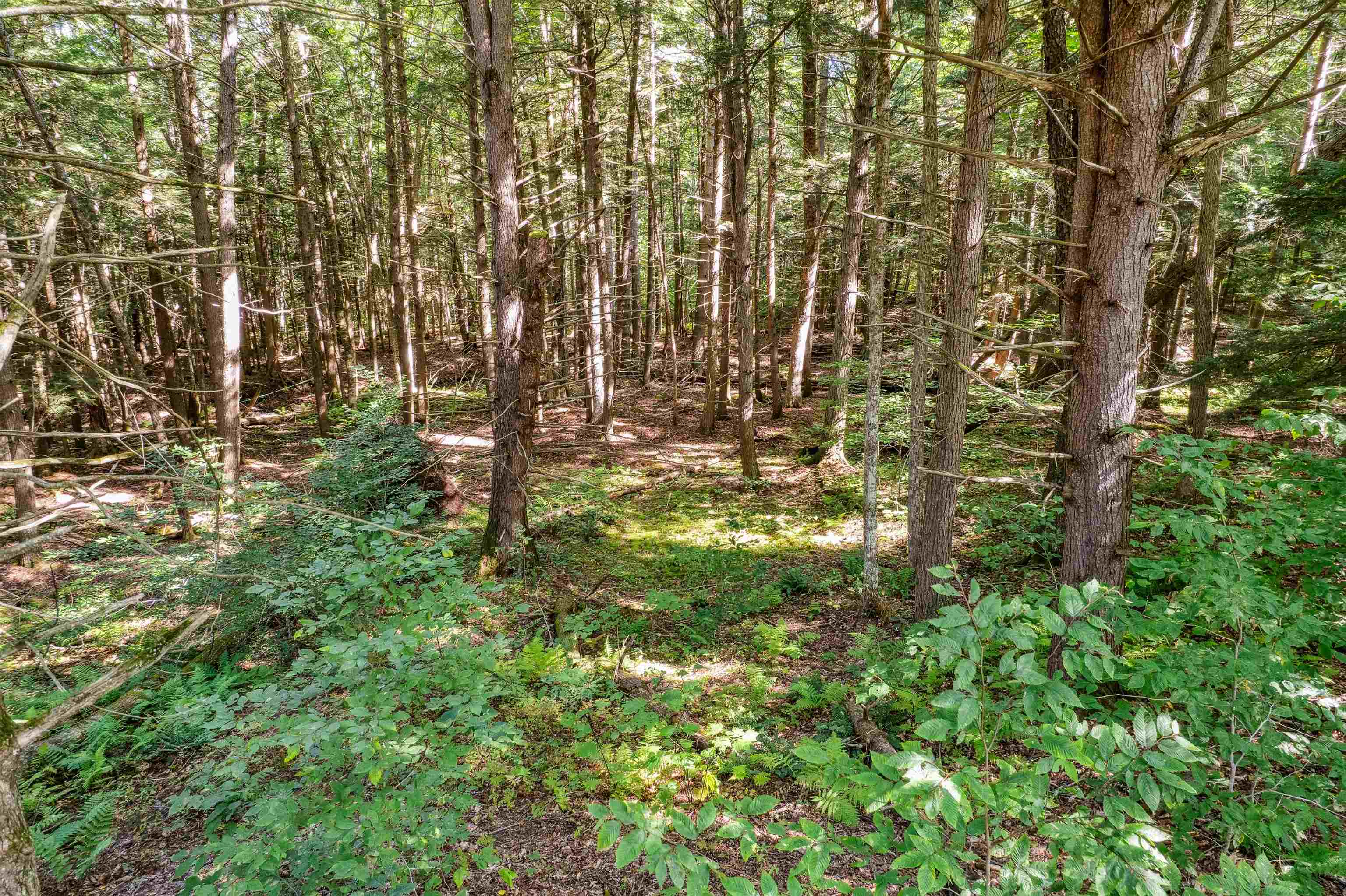 933 Gage Road Tunbridge, VT 05032 - Photo 3 of 6