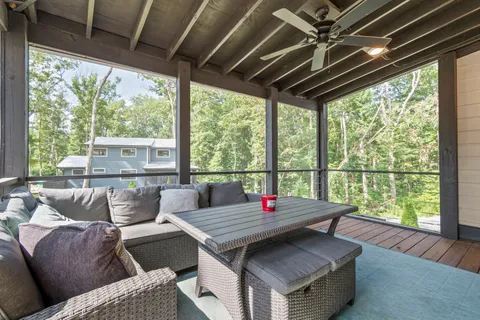 a view of a garden with plants and large trees