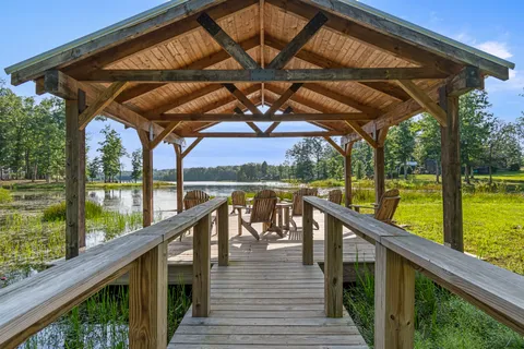 a view of a yard with plants and large trees