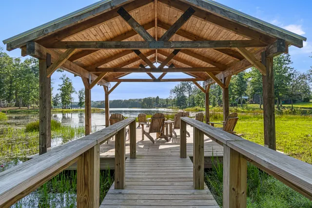 a view of a yard with plants and large trees