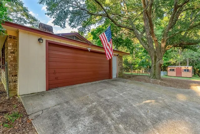 a view of backyard and tree