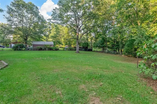 a view of a trees with a big yard