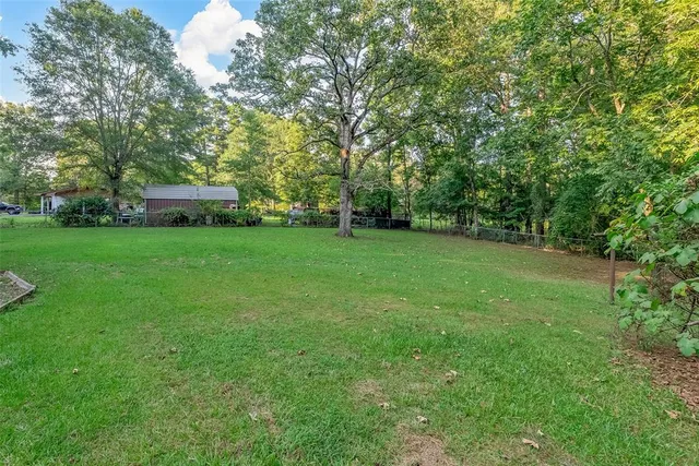 a view of a trees with a big yard