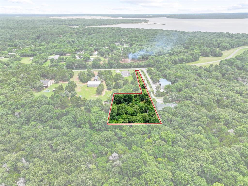 207 Paradise Park Road Pottsboro, TX 75076 - Photo 14 of 28 Expansive wooded lot outlined in red, featuring mature trees and bordering a paved road