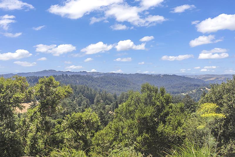 7405 Alpine Road La Honda, CA 94020 - Photo 37 of 39