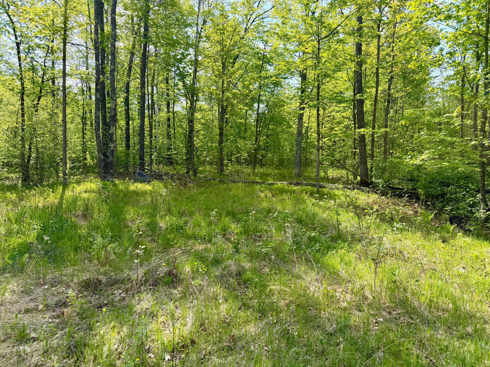 9072 County 8 Northeast Remer, MN 56672 - Photo 6 of 7