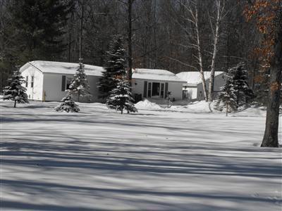 220 Skocelas Road North Manistee, MI 49660 - Photo 1 of 17 Primary Photo