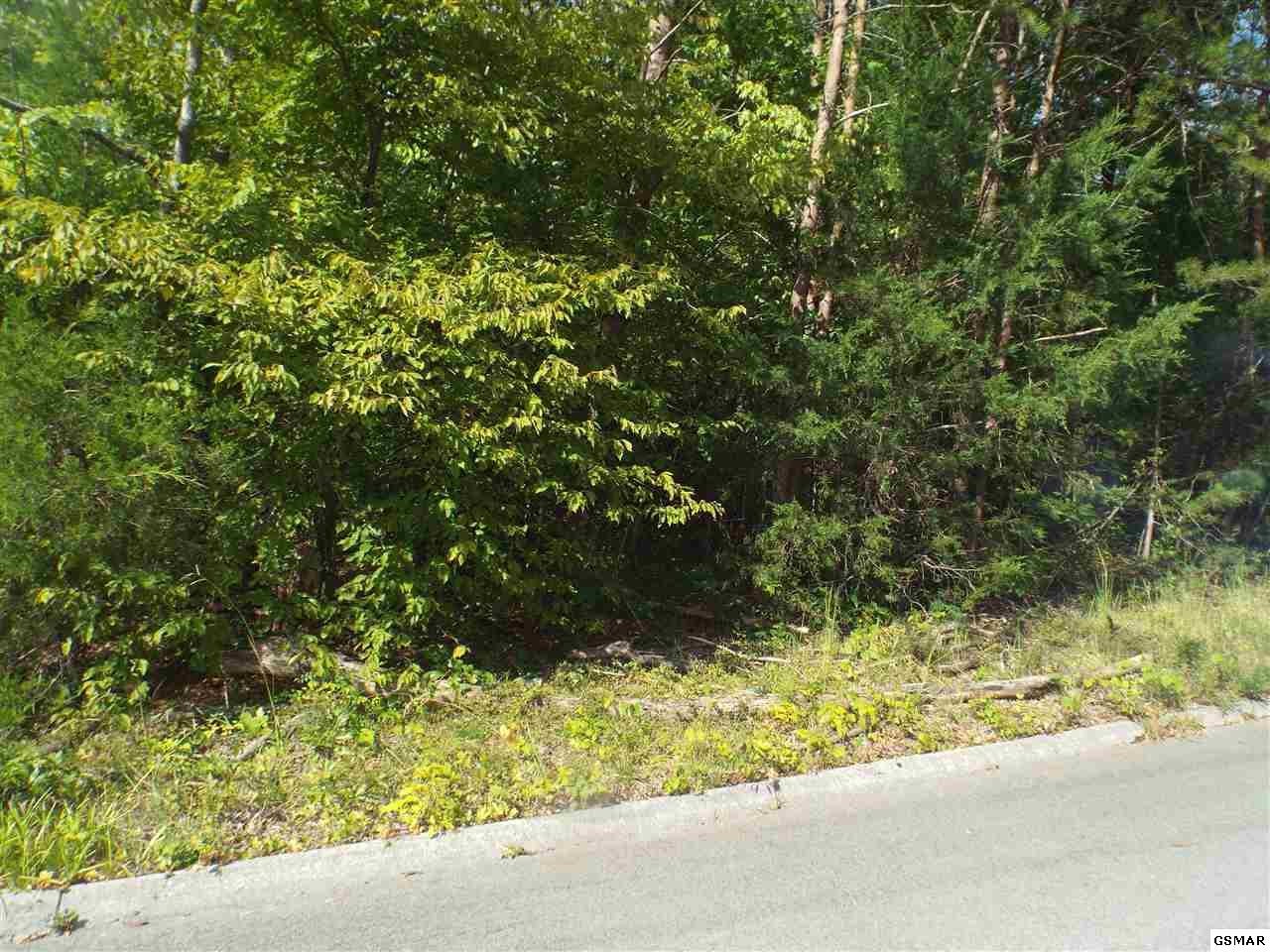 0 Floyd Lane Sevierville, TN 37862 - Photo 2 of 3