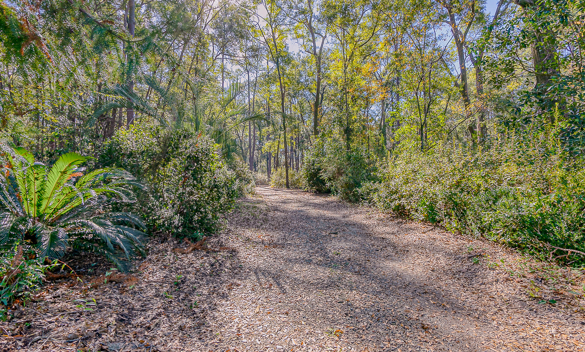 7599 Patterson Road Beaufort, SC 29906 - Photo 11 of 56 Private Drive