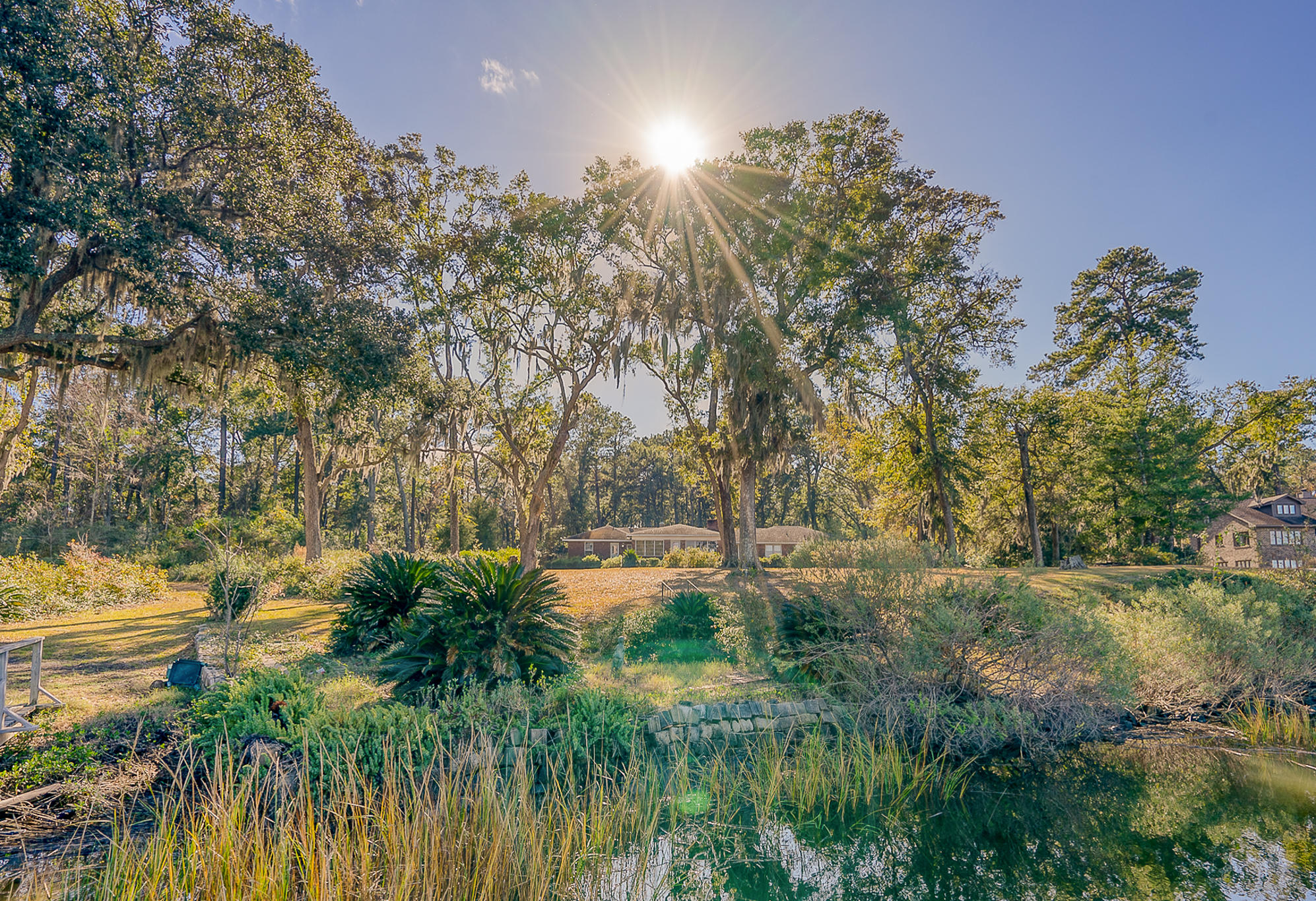 7599 Patterson Road Beaufort, SC 29906 - Photo 4 of 56 Gorgeous 8.3 Acres
