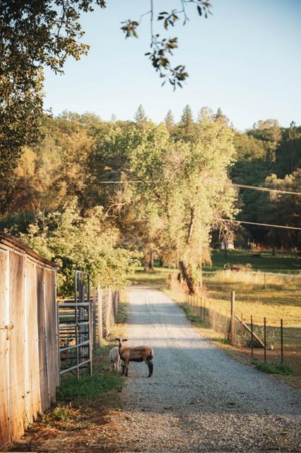 12242 Woodacre Road Grass Valley, CA 95949 - Photo 53 of 53
