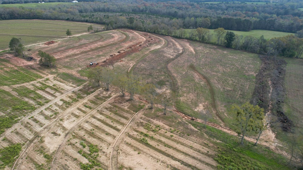 0 Travis Wise Road Samson, AL 36477 - Photo 9 of 21