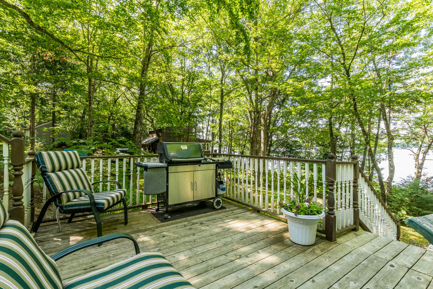 44 Pine Cove Road Harrison, ME 04040 - Photo 39 of 50 20190725ms-81068