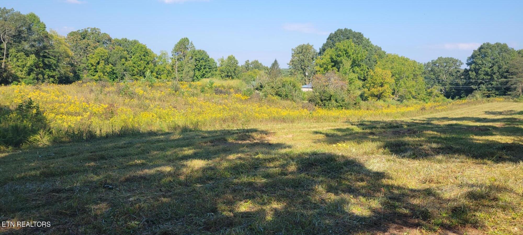 Big Springs Road Oneida, TN 37841 - Photo 2 of 6 20220918_104942