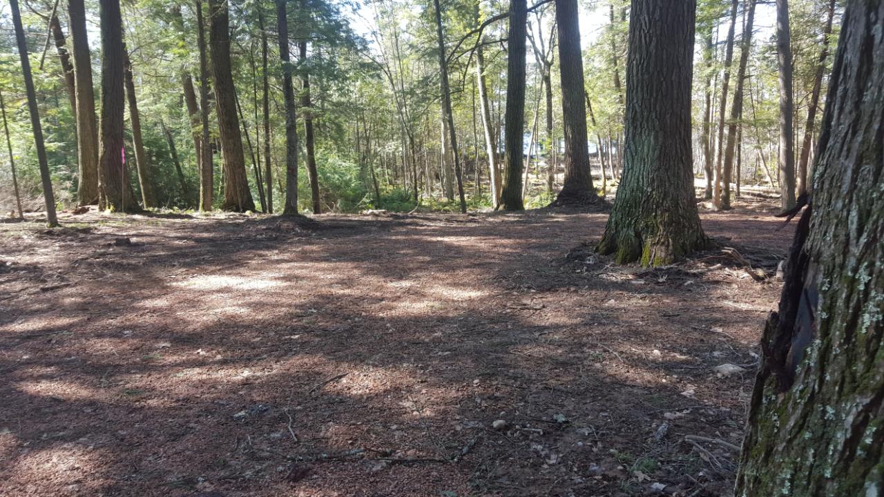 On Everett Road, Unit LOT 2 Eagle River, WI 54521 - Photo 6 of 27 Gallery Image 6