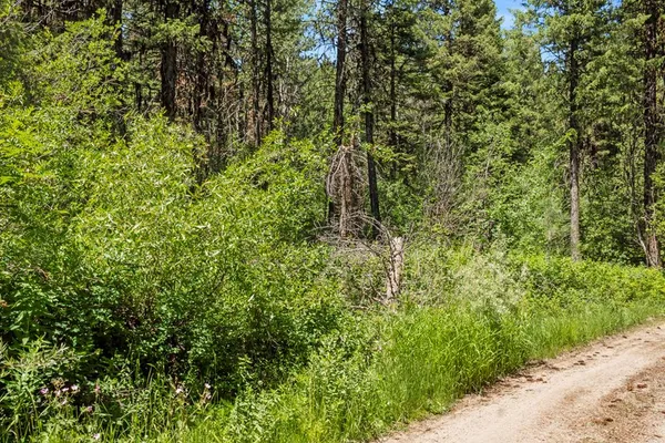 $85,000 | 513 Susan Road, Unit 42, Cascade, ID 83611