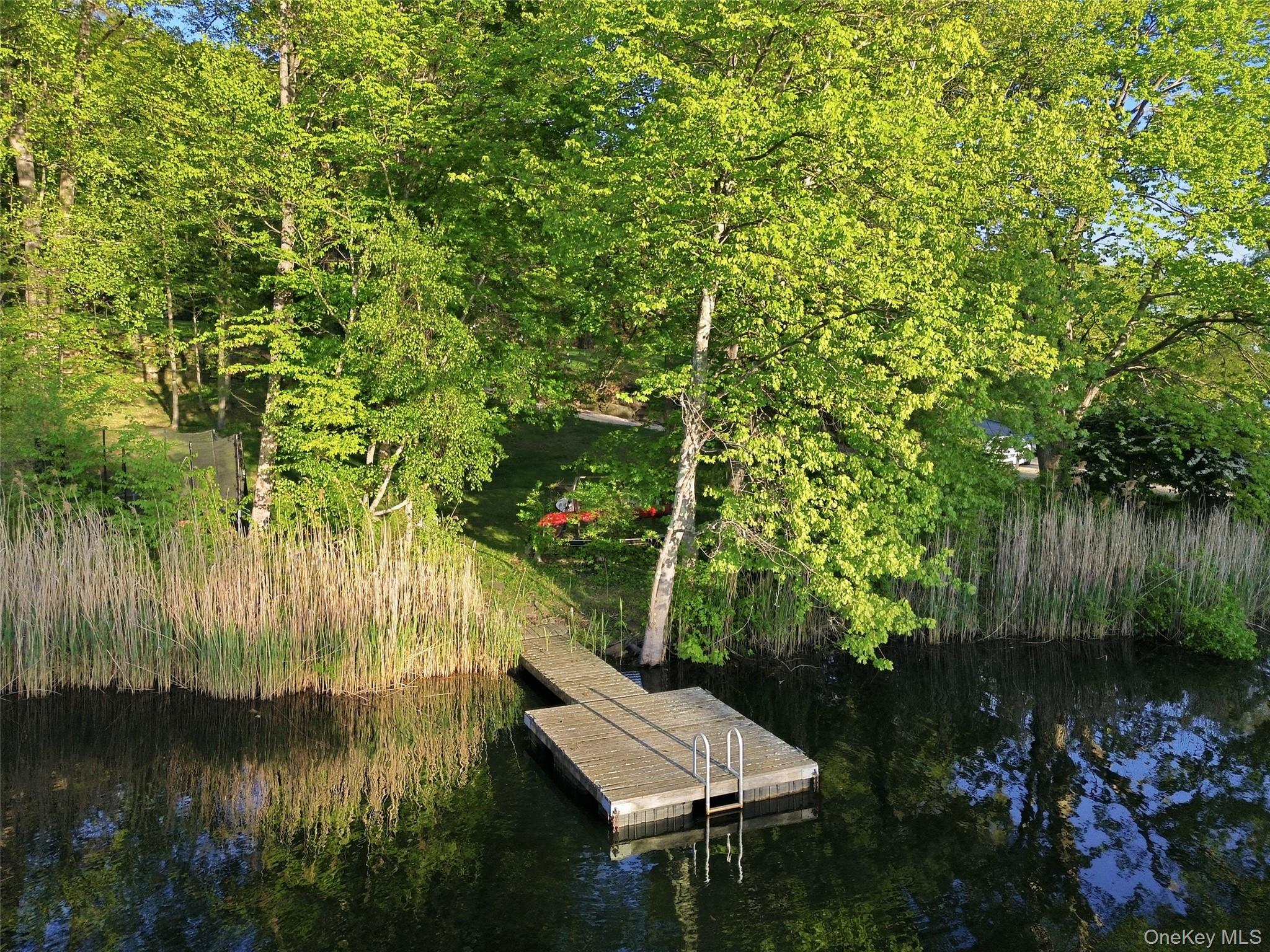 2 Lake Ridge Drive Armonk, NY 10504 - Photo 3 of 38 Private dock