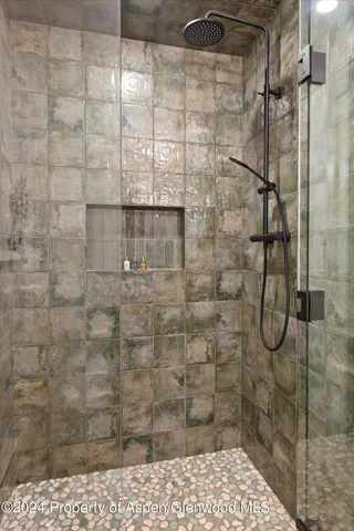 a bathroom with a shower