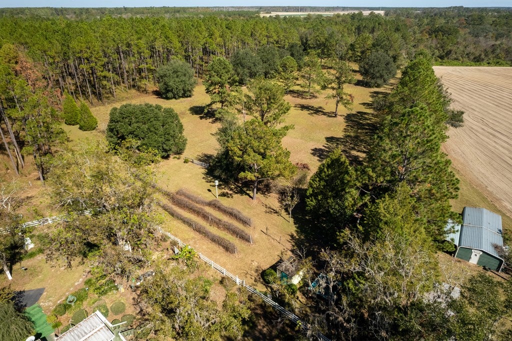 6803 George Road East Lake Park, GA 31636 - Photo 52 of 61 Gallery Image 52