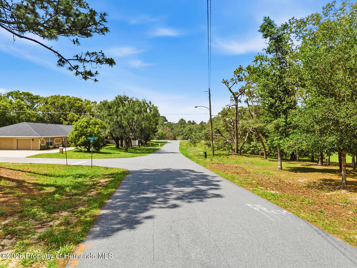 0 Staten Avenue Spring Hill, FL 34609 - Photo 9 of 12
