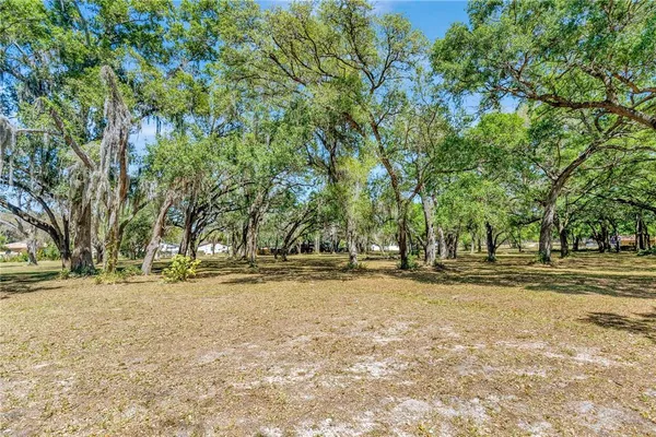 a view of a yard with a trees