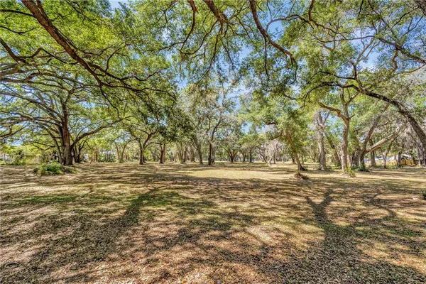 a big yard with trees