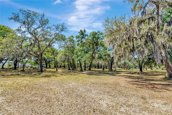 a ground with trees in the background