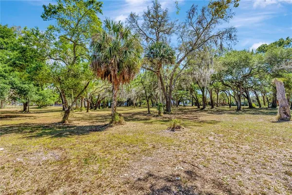 a view of a yard with swimming trees