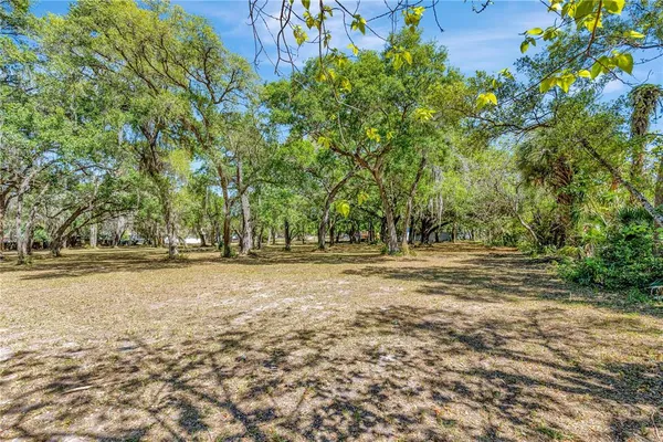 a view of yard with tree