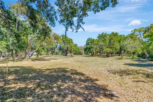 a view of a field with trees