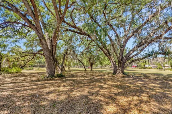 a view of outdoor space with trees