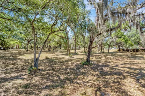 a view of outdoor space with trees