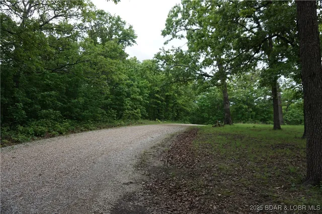$235,000 | 747 Paulson Drive, Edwards, MO 65326