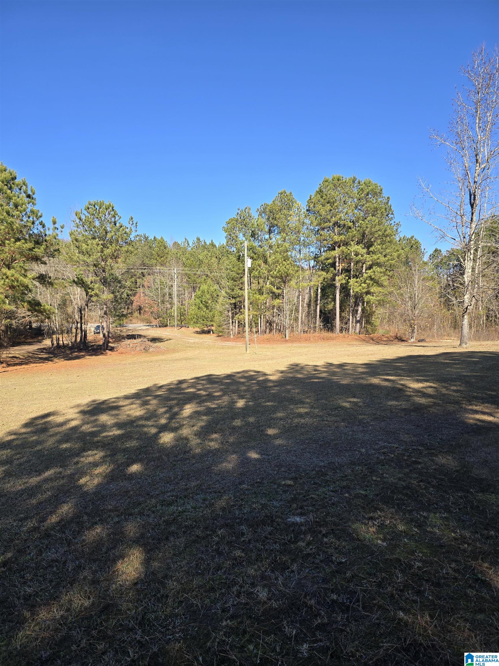 4850 Shoal Creek Road, Unit ACREAGE Ashville, AL 35953 - Photo 7 of 18