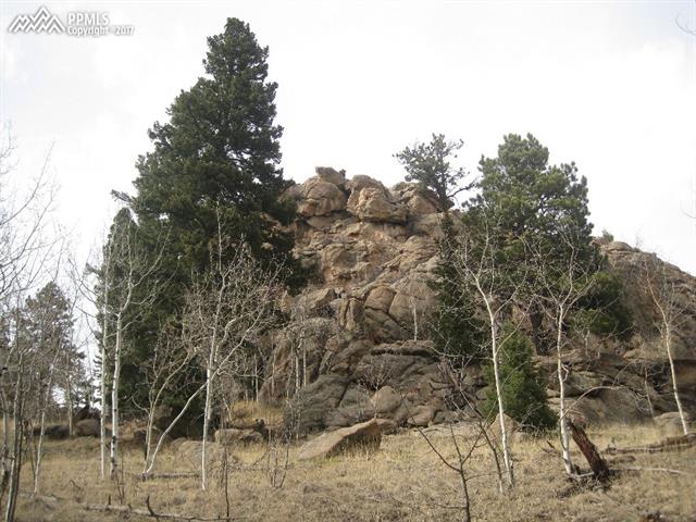 325 Valley Road Florissant, CO 80816 - Photo 14 of 17