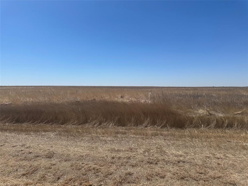 12400 Bobcat Road Amarillo, TX 79118 - Photo 3 of 3 Expansive open land with natural, dry grasses under a clear sky