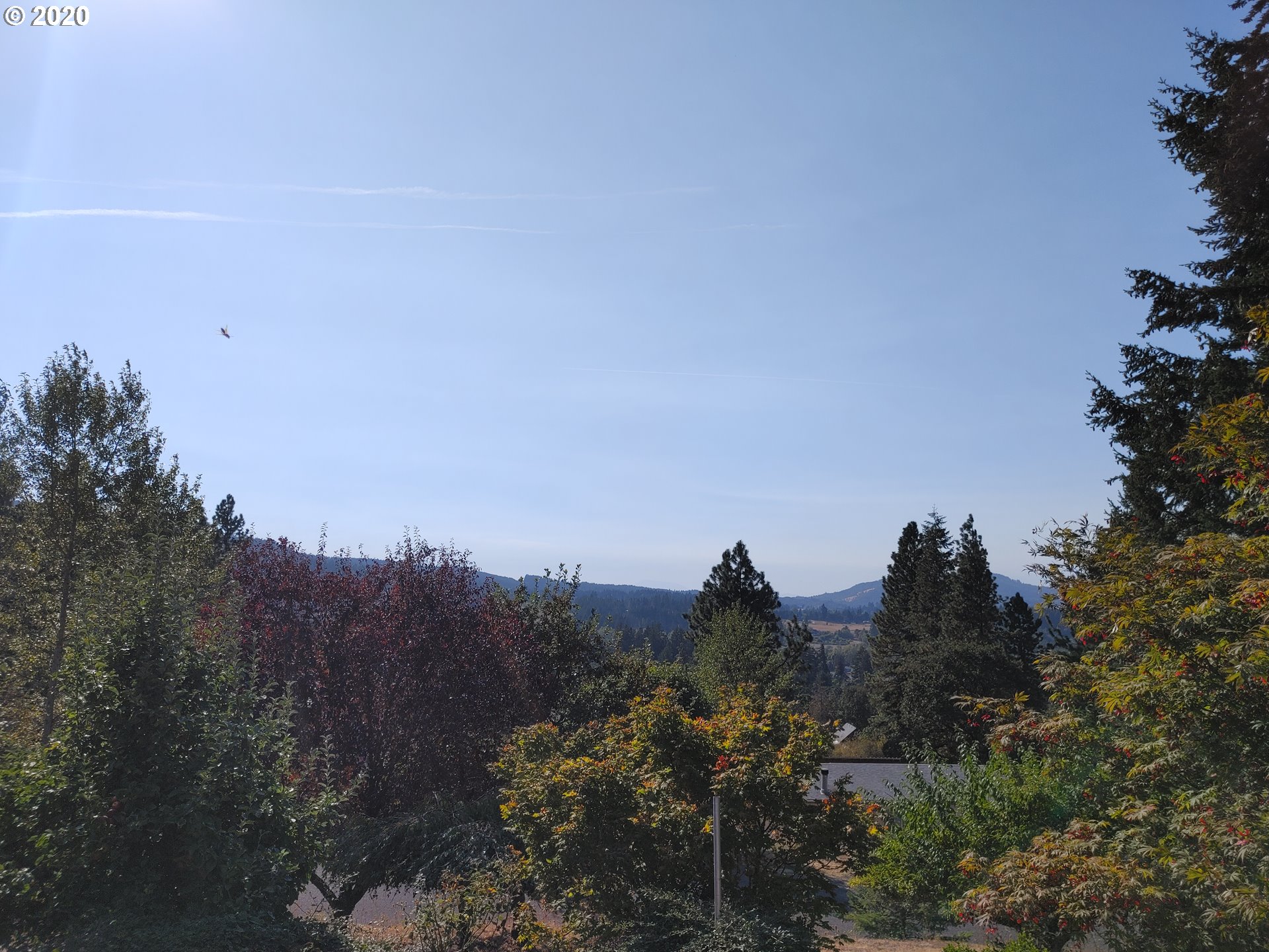 38314 Maple Street Lebanon, OR 97355 - Photo 22 of 22 Gallery Image 22