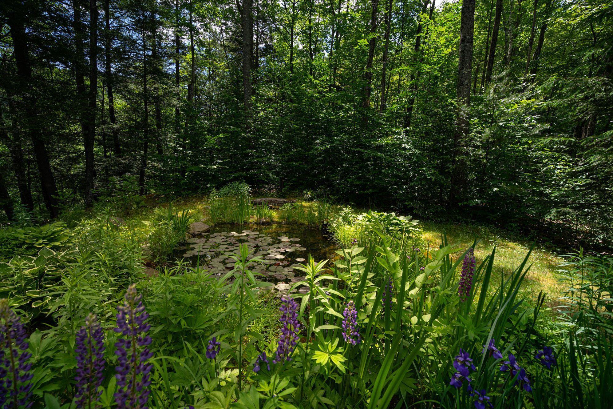 704 Dover Road Newfane, VT 05351 - Photo 24 of 32