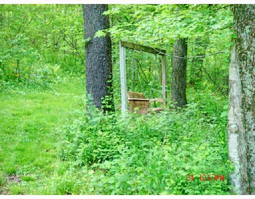 167 Creek Road New Florence, PA 15944 - Photo 6 of 8 Land/Lot.